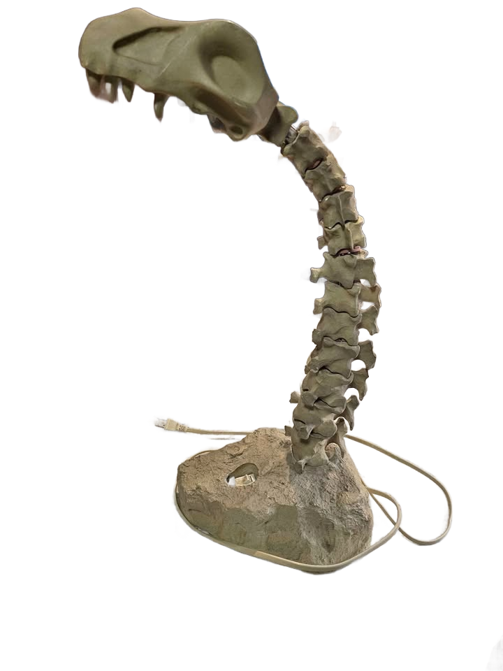 Salton lampasaurus desk lamp