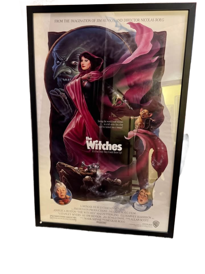Vintage movie posters- framed