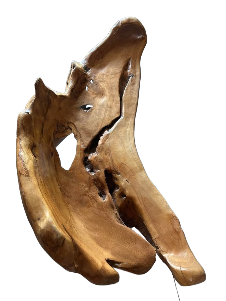 Bench Organic Teak Wood Tree root custom made art piece