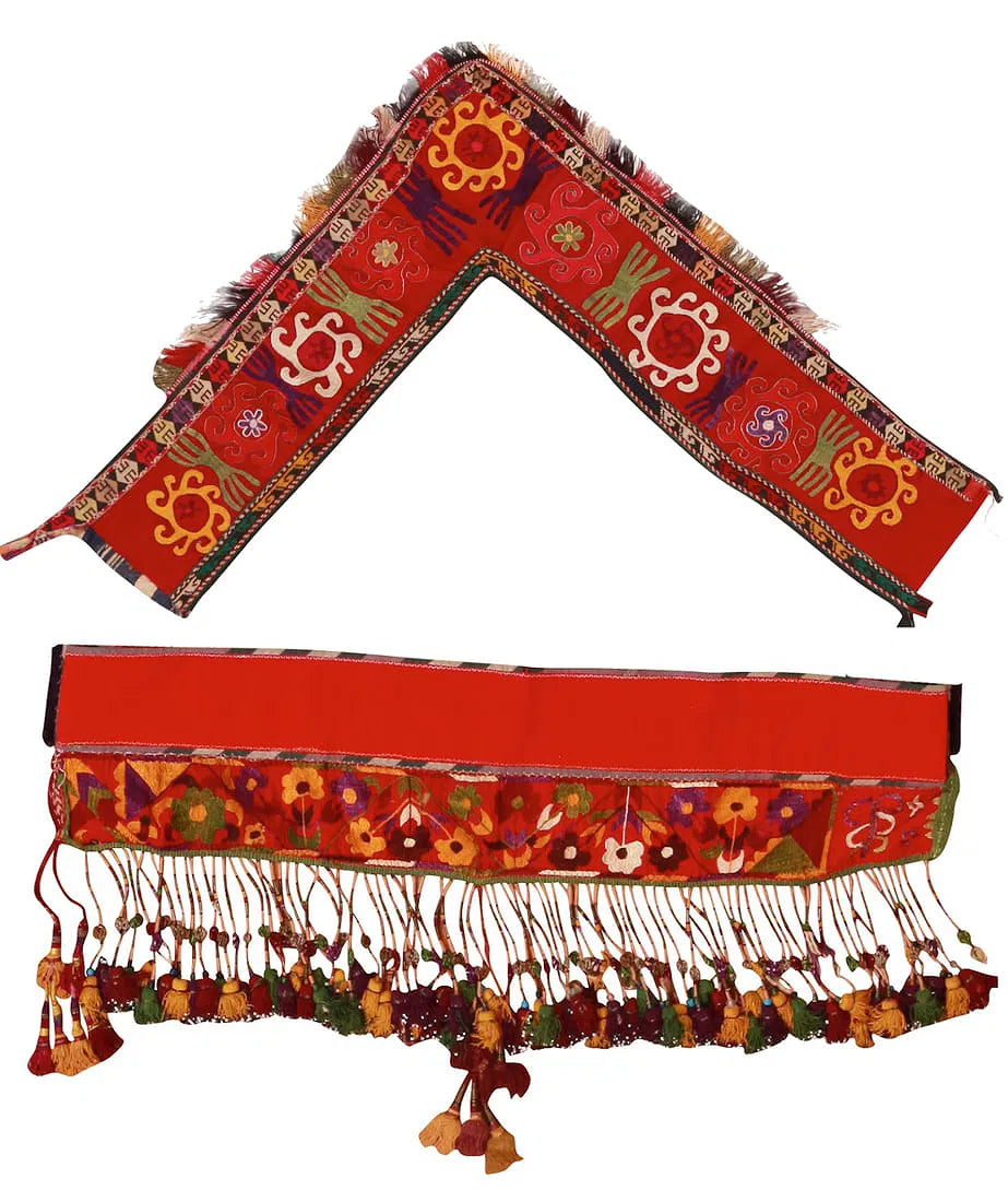 Central Asian - Fashion