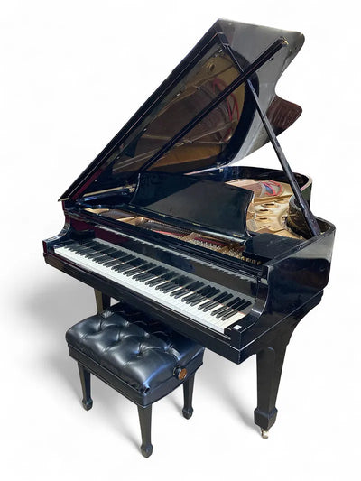 Musical Instruments