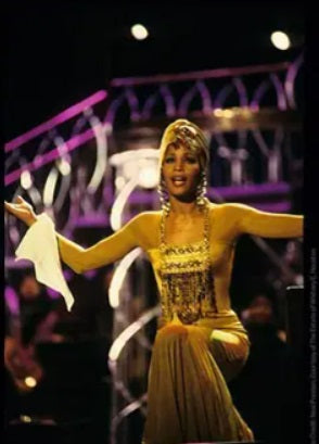 Whitney Houston | 1994 "Whitney: The Concert for A New South Africa" Marc Bouwer Reproduction Gown