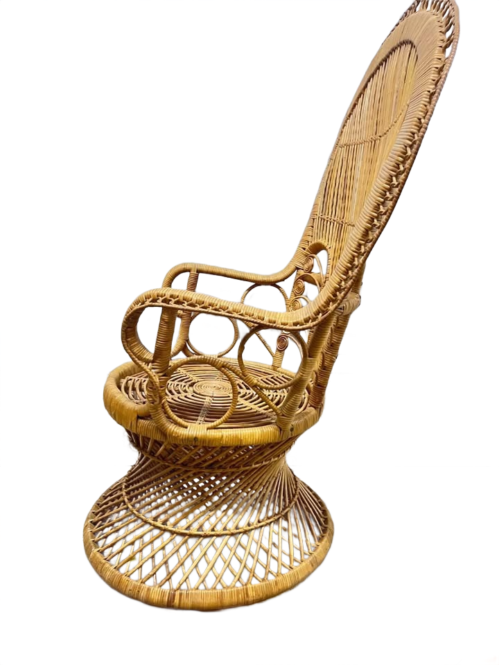 Beautiful Wicker Peacock iChair
