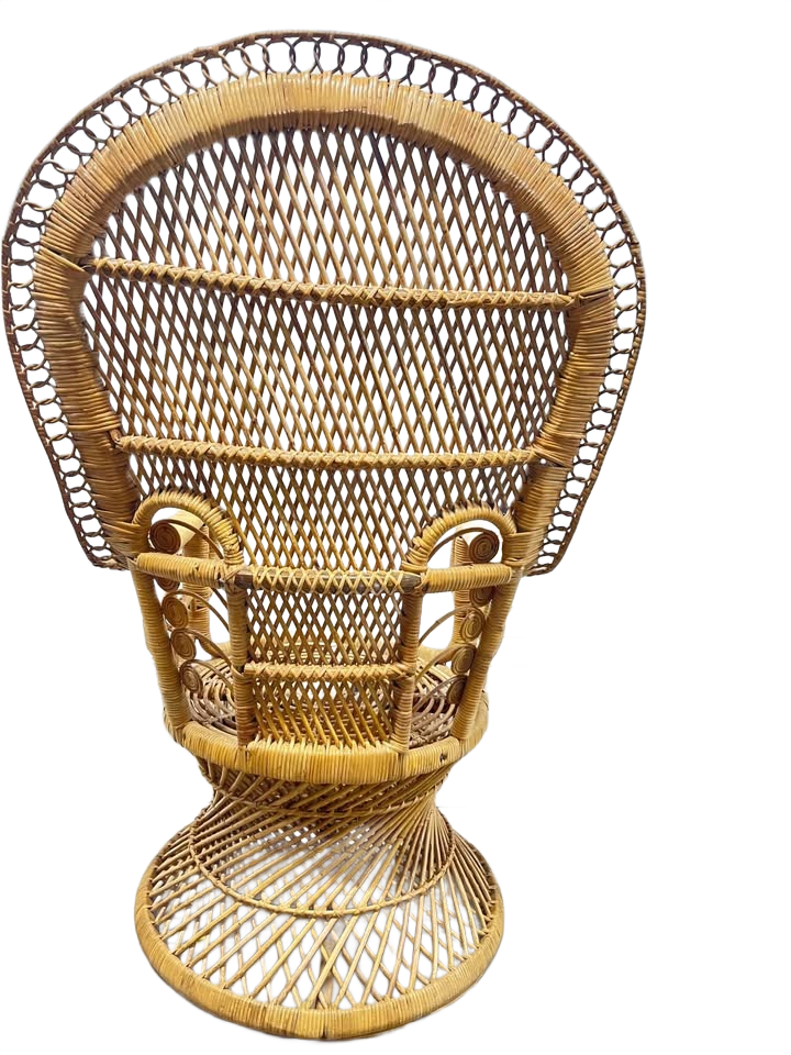 Beautiful Wicker Peacock iChair