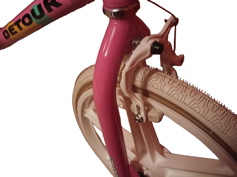 1990s dyno detour bike