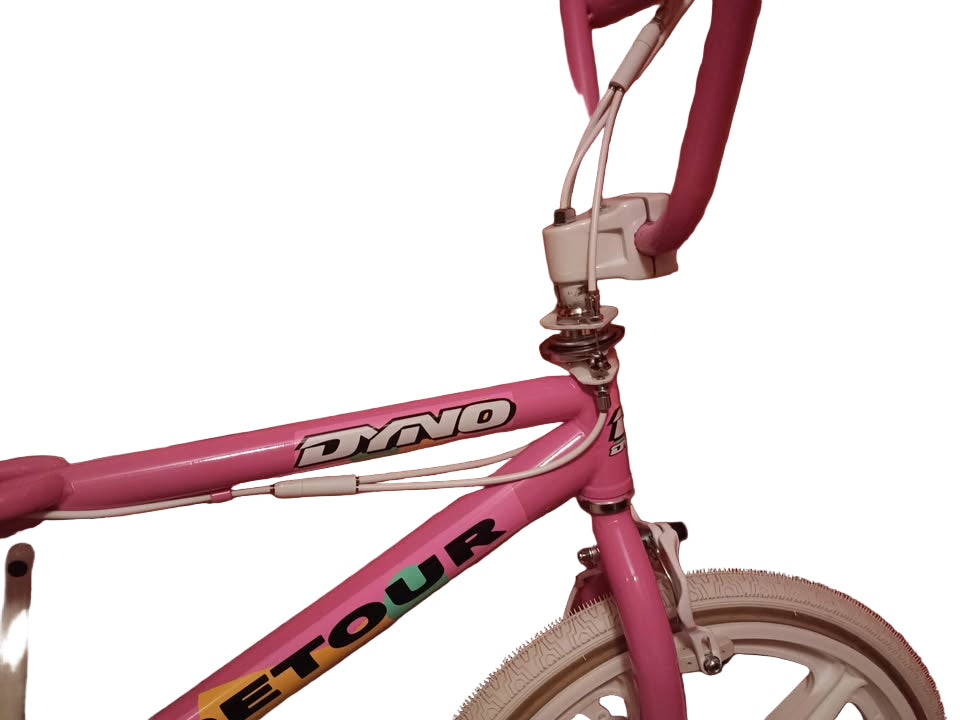 1990s dyno detour bike