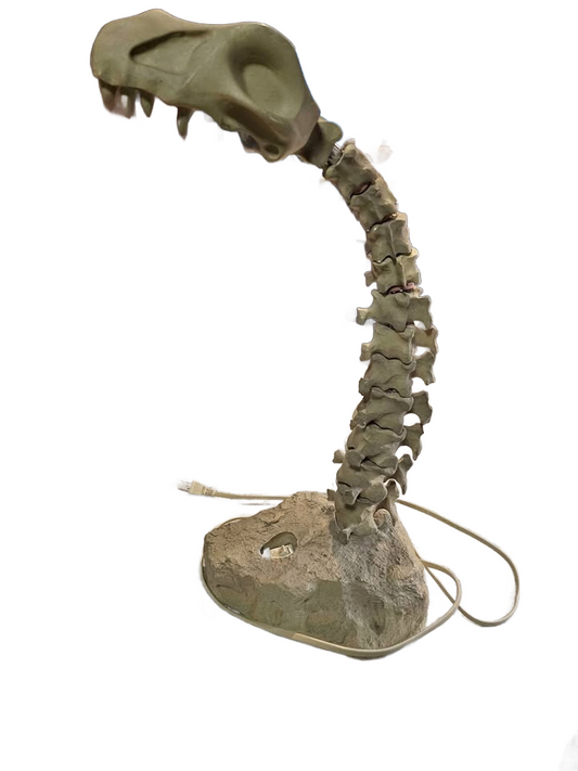 Salton lampasaurus desk lamp