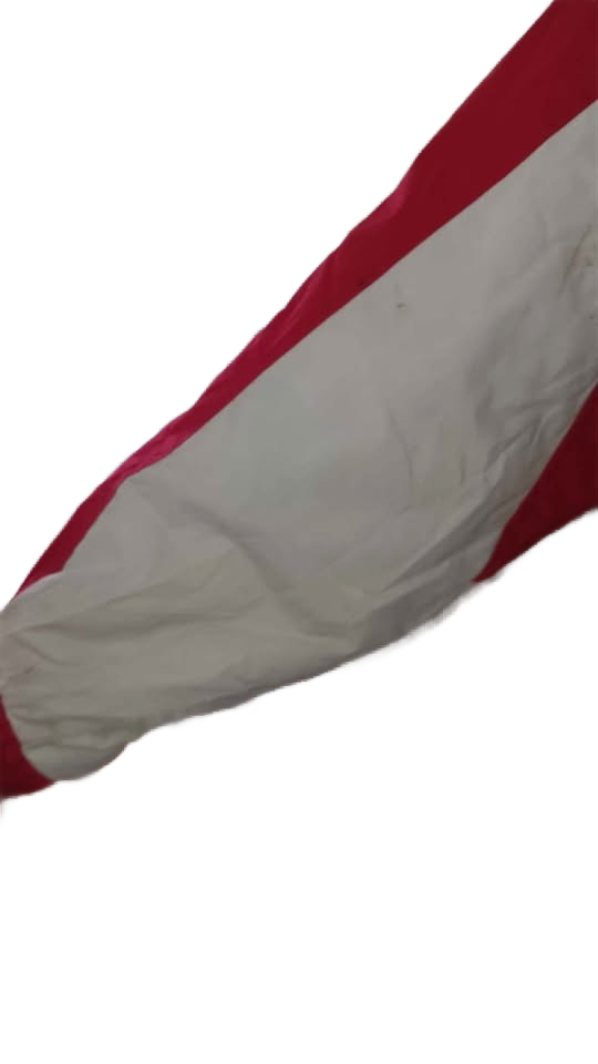 Vintage Men's Chicago Bulls Pro Player Puffer Jacket Size XL