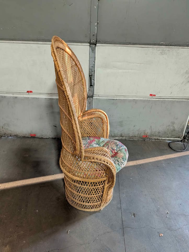 Peacock chair