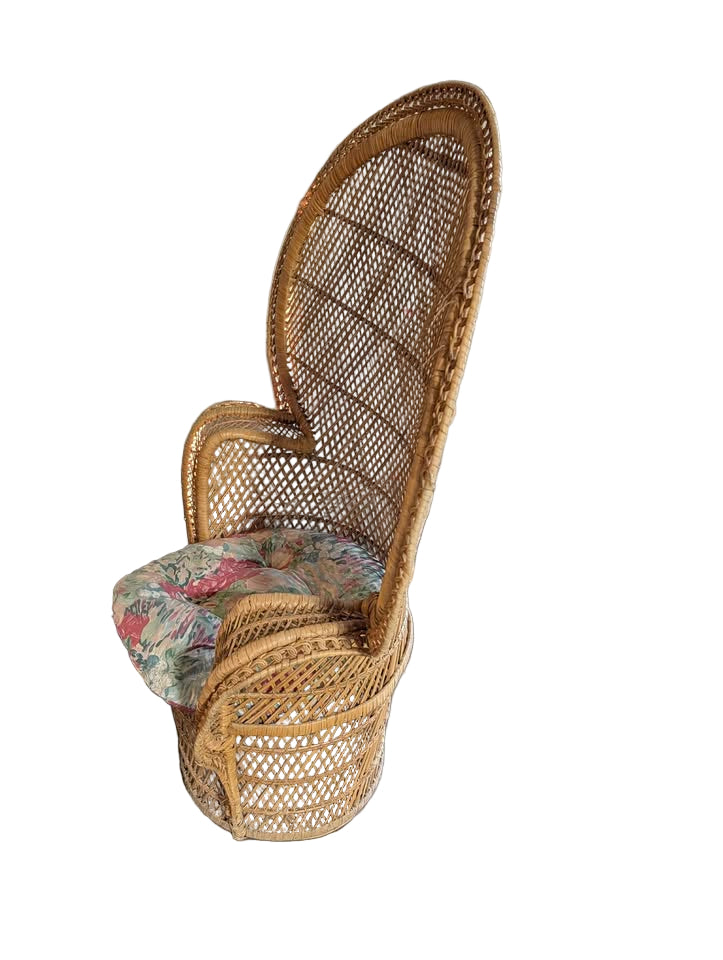 Peacock chair