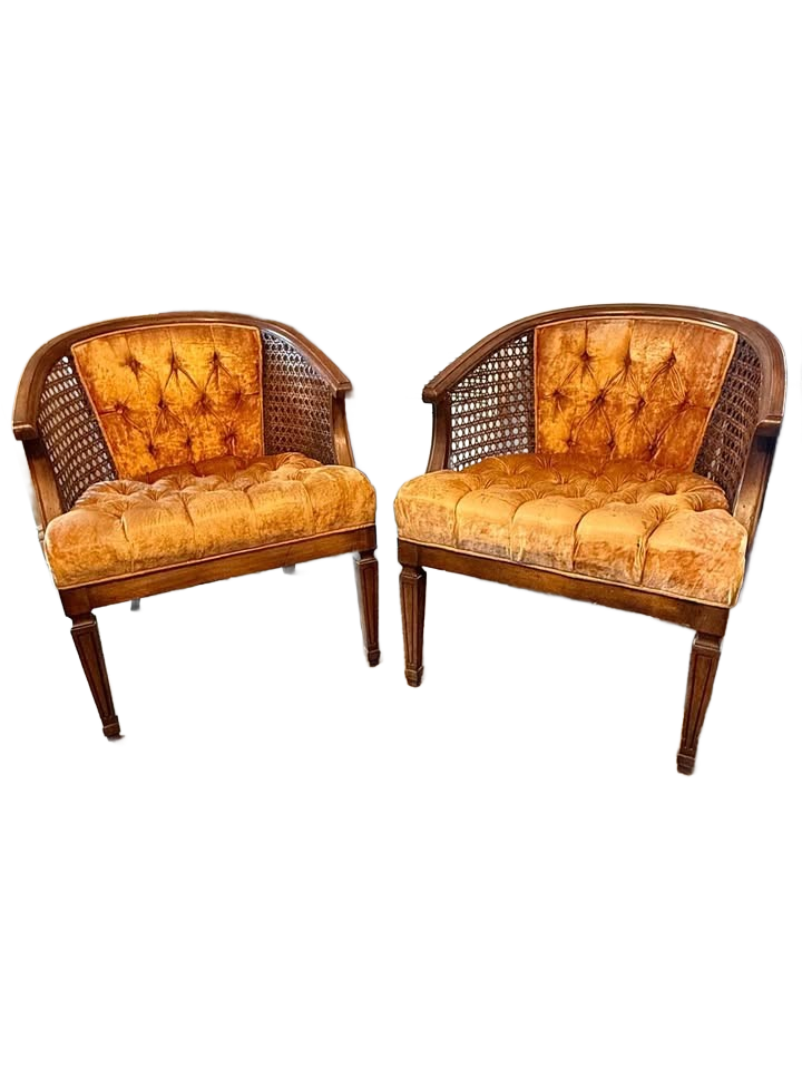 Vintage Mid-century modern MCM Cane Back Chairs (2)