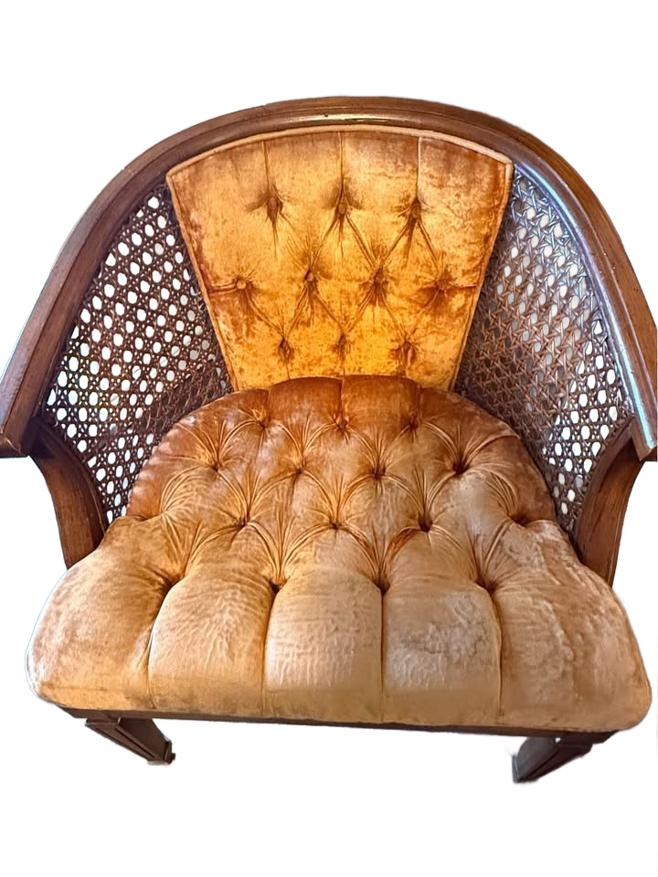 Vintage Mid-century modern MCM Cane Back Chairs (2)