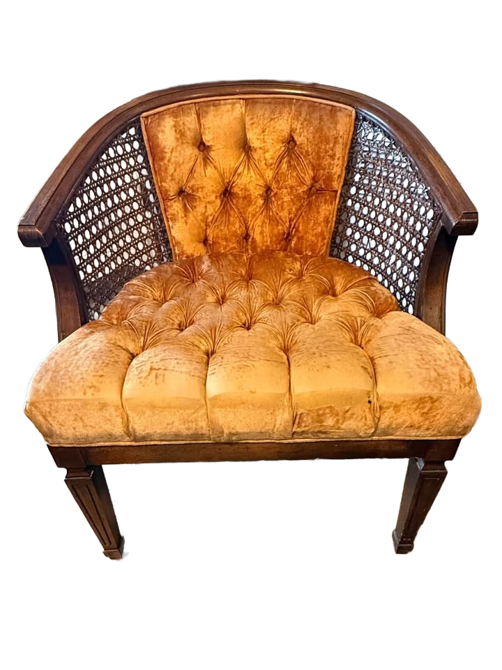 Vintage Mid-century modern MCM Cane Back Chairs (2)