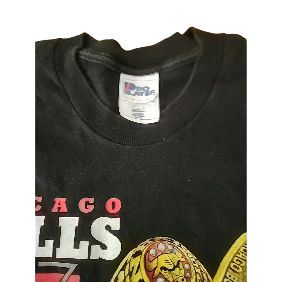 Chicago Bulls 1997 Vintage 5 Time NBA Champions T-Shirt Large Pro Player New NOS