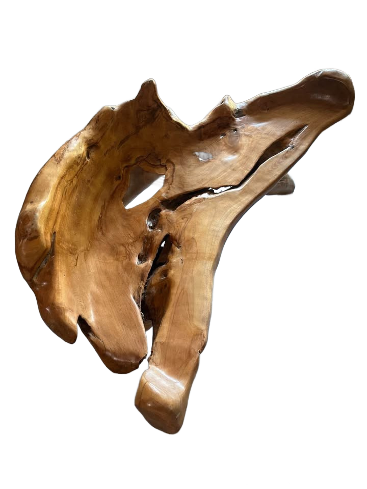 Bench Organic Teak Wood Tree root custom made art piece