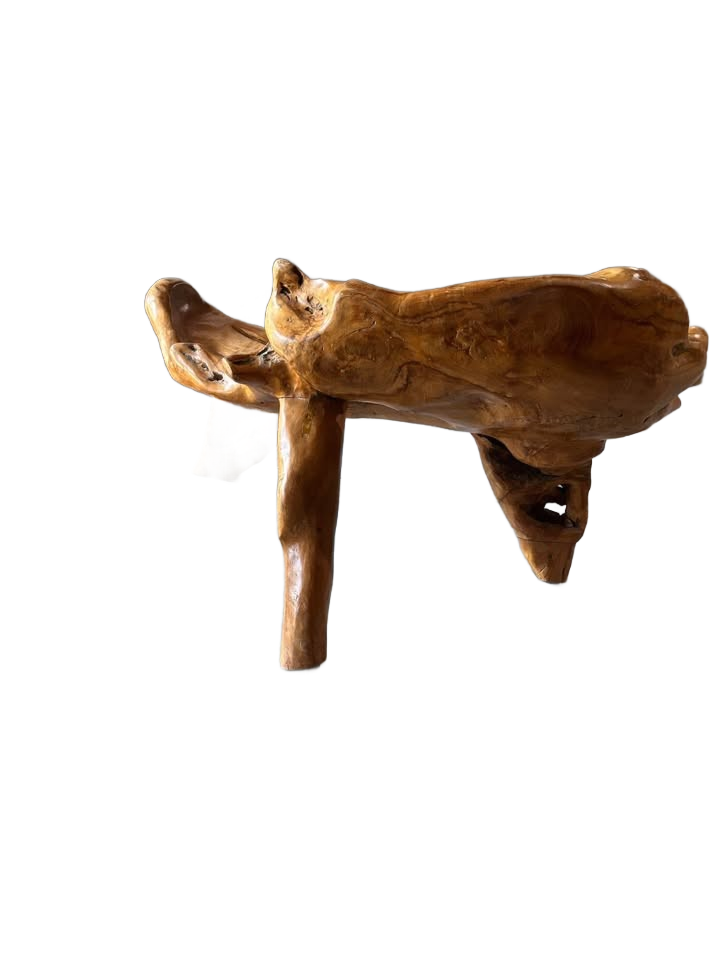 Bench Organic Teak Wood Tree root custom made art piece