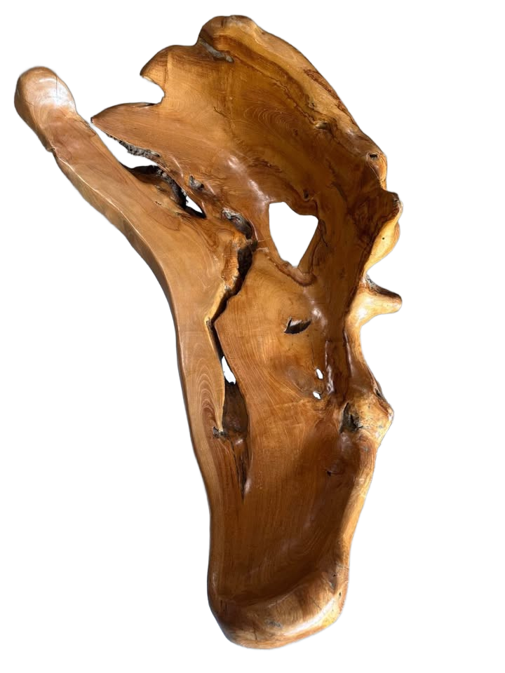 Bench Organic Teak Wood Tree root custom made art piece