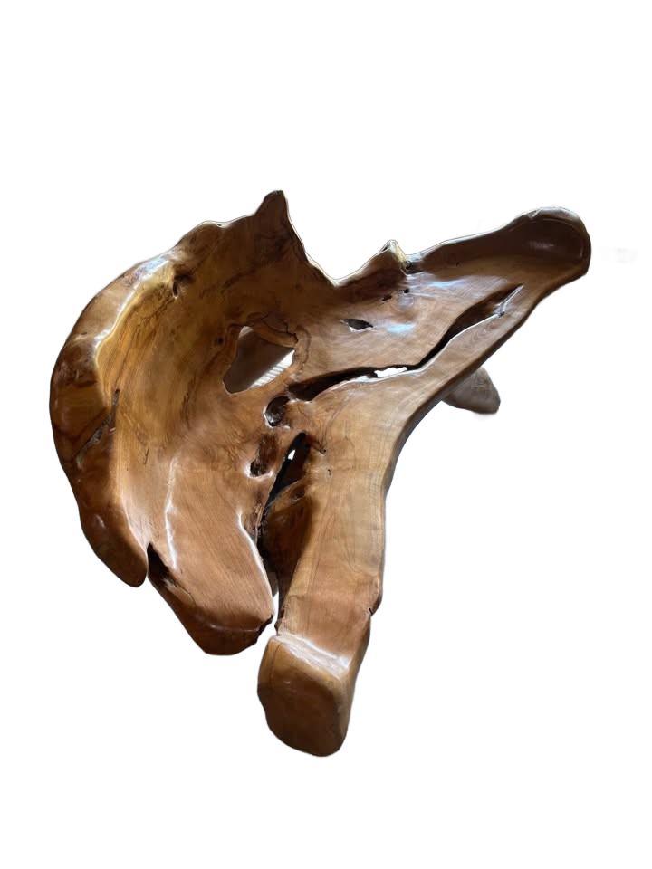Bench Organic Teak Wood Tree root custom made art piece