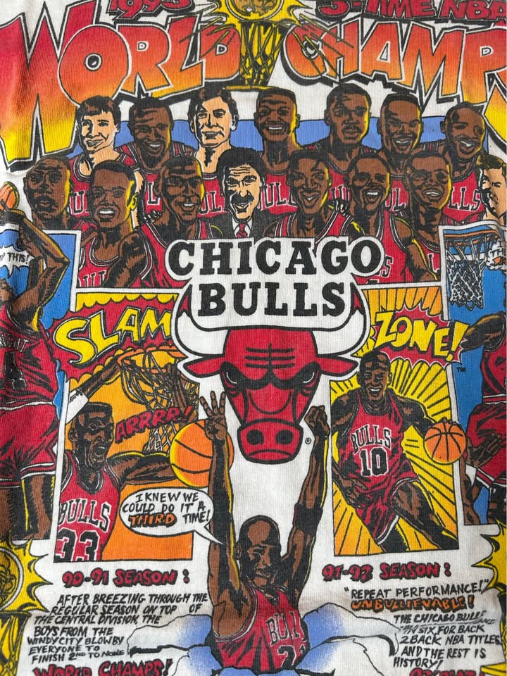 Vintage Chicago Bulls 1993 Championship T-Shirt size medium M