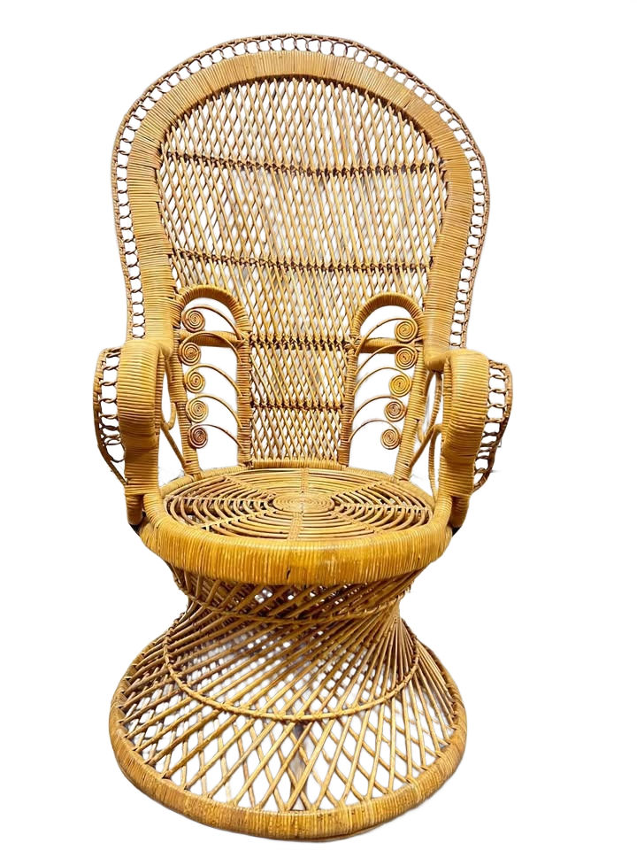 Beautiful Wicker Peacock iChair