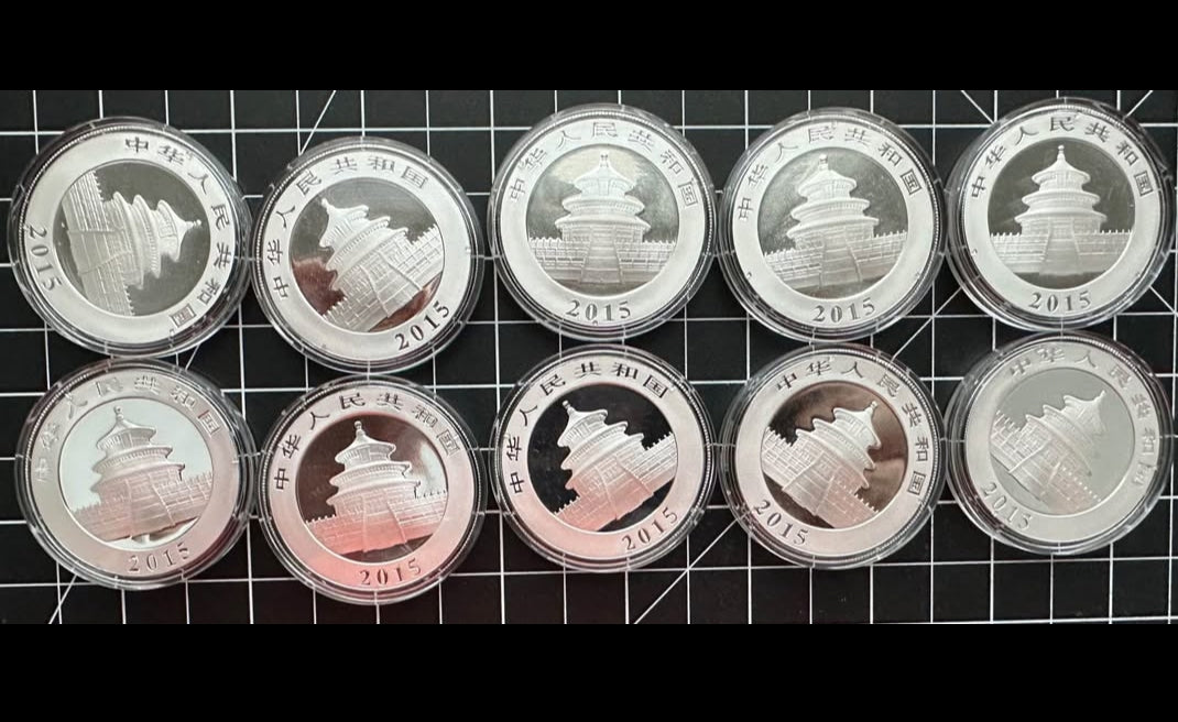 2015 1oz Silver Panda Coin x 10