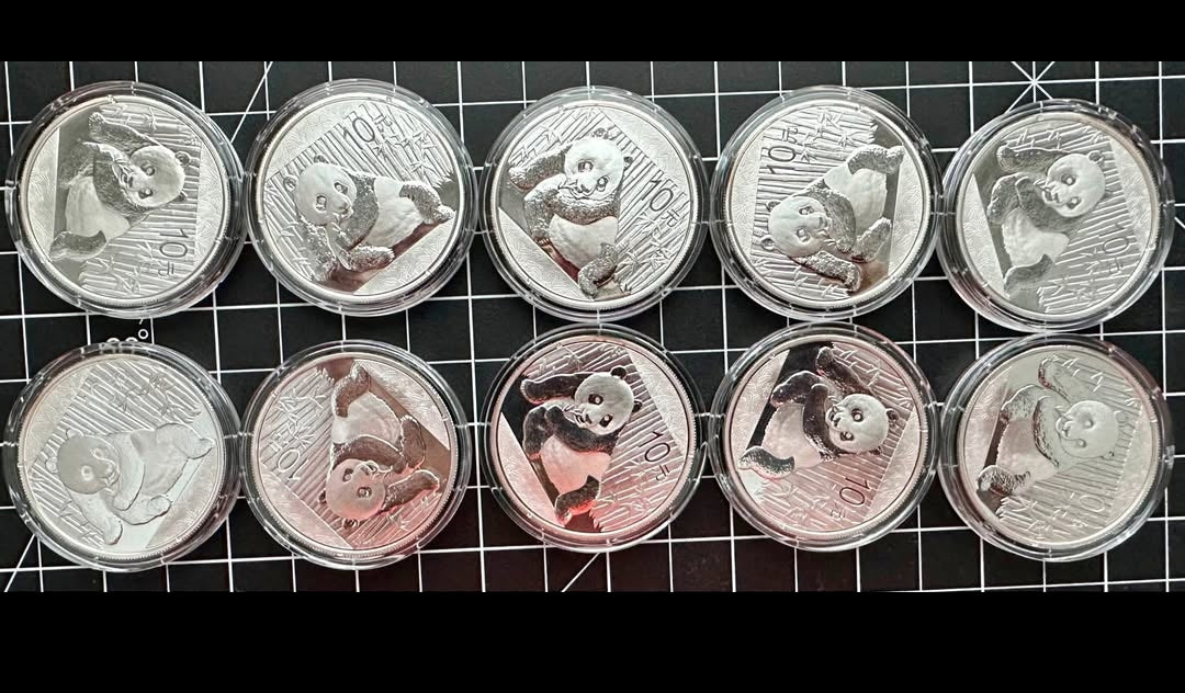 2015 1oz Silver Panda Coin x 10